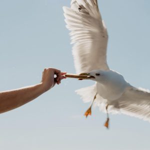 IMG_5503.jpeg